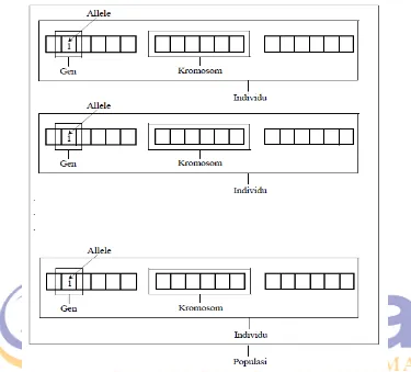 Gambar 2.1 Ilustrasi Representasi Permasalahan dalam Algoritma Genetika (sumber : Entin, 2010) 