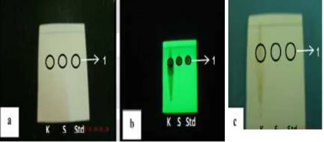 Gambar 1. Profil Kromatografi (a) Visual; (b) UV λ 254 nm; (c) H2SO4 10%Keterangan : K : Ekstrak Kencur; S : EPMS Sampel; Std : EPMS Standar