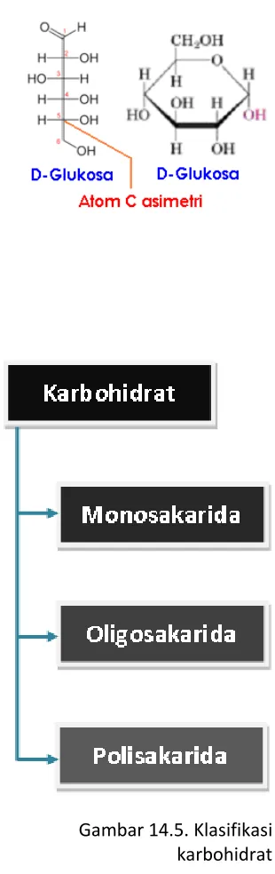 Gambar 14.5. Klasifikasi 