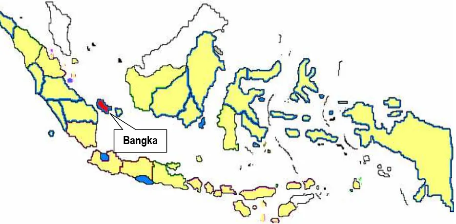 Figure 1. Map of Indonesia where Bangka island with red color