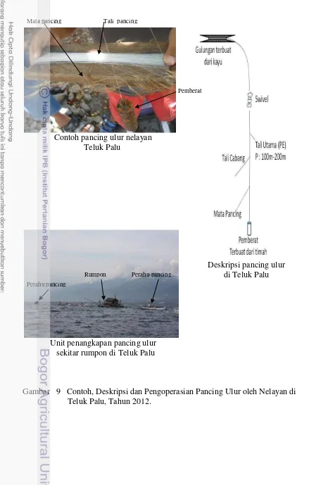 Gambar   9   Contoh, Deskripsi dan Pengoperasian Pancing Ulur oleh Nelayan di 