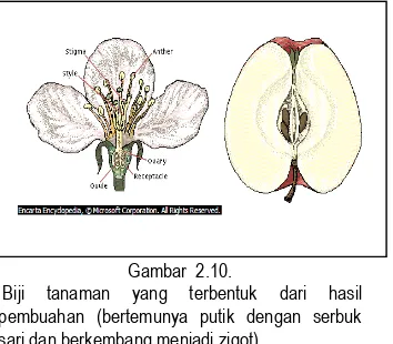 Gambar 2.10.