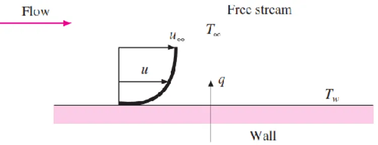 Gambar 2.9. Perpindahan kalor konveksi dari sebuah plat   (Holman, 2010) 