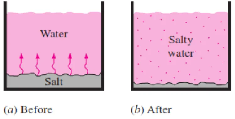 Gambar 2.10. Perpindahan massa akibat perbedaan konsentrasi  antara air dan garam (Cengel, 2003) 
