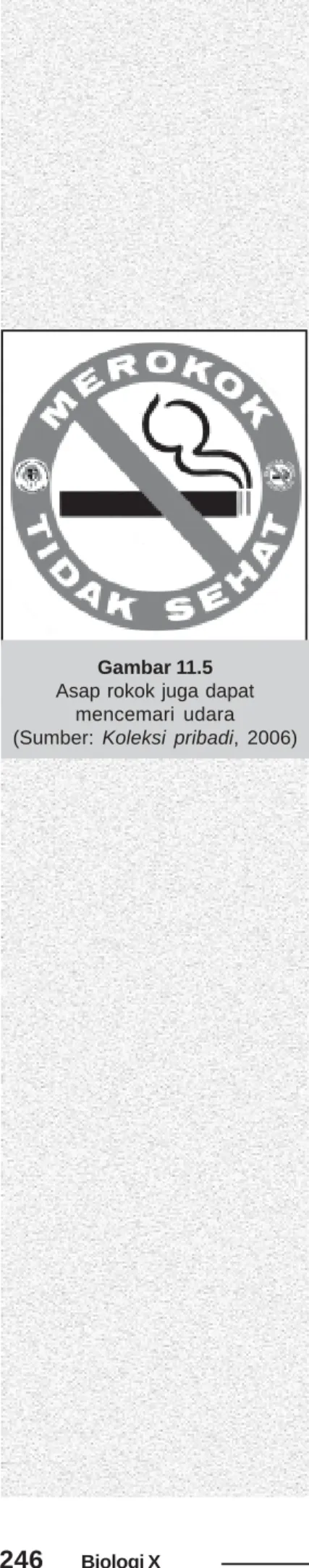 Gambar 11.5 Asap rokok juga dapat