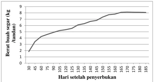 Gambar 2. Perubahan berat buah segar (kg) per tandan pada buah kelapa sawit yang diamati  mulai 30 HSP sampai 185 HSP