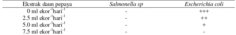 Tabel 6 Kadar bakteri S. typhimurium dan E.coli pada ekskreta puyuh 