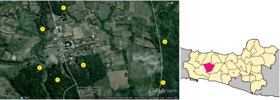 Gambar 1. Lokasi penelitian di desa Serang, kecamatan Karangreja, Kabupaten Purbalingga