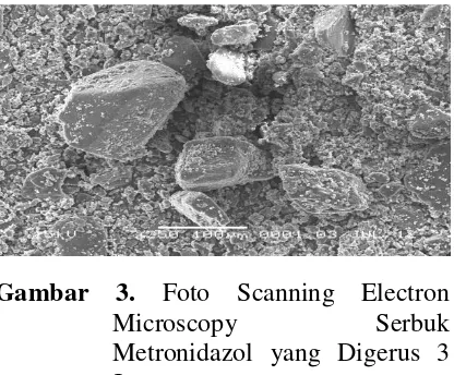 Gambar 3. Foto Scanning Electron Microscopy Serbuk Metronidazol yang Digerus 3 Jam. 