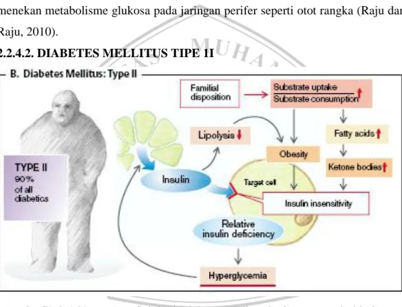 Grafik 2.4 Skema Patofisiologi Diabetes Melitus 2 (Carrera et al., 2013)  Diabetes melitus tipe 2 merupakan gangguan metabolik yang ditandai oleh  hiperglikemia  kronis  yang  disebabkan  oleh  resistensi  terhadap  insulin  pada  jaringan  perifer,  tidak