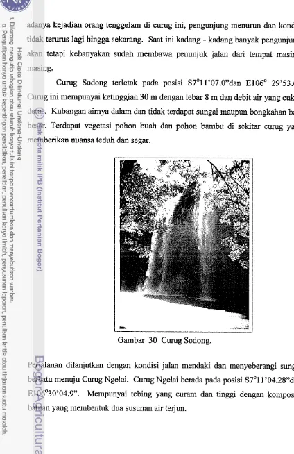 Gambar 30 Curug Sodong. 