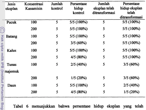 Tabel  6  Persentase  hidup  kontrol  dan  eksplan  yang  telah  ditransformasi pada  media seleksi yang mengandung 100 mg/l dan 200 mg/l Kanamisin pada  minggu ke  8  setelah tanam 
