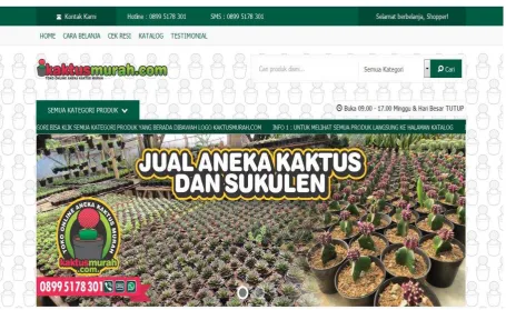 Gambar 2 Sumber http://kaktusmurah.com/ 