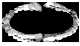 Figure 12. An example of the result of ellipse  approximation. 