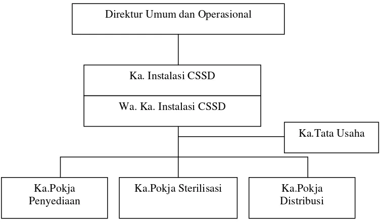 Gambar 3.2 Struktur Organisasi InstalasiCSSD RSUP H. Adam Malik Medan 