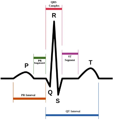 Figure 1. Schematic representation of normal ECG 