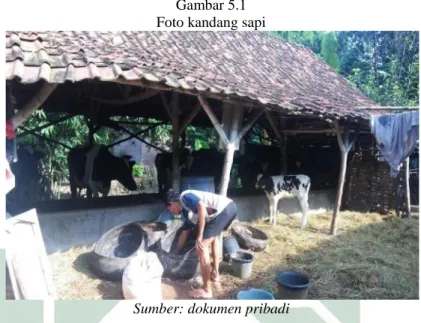 Gambar 5.1  Foto kandang sapi 