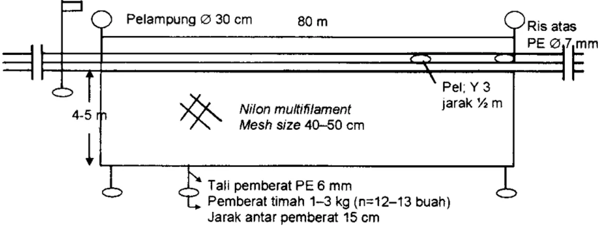 Tabel  1. Hasil  tangkapan  ikan pari dengan  jaring  liongbun  di  perairan  Cirebon,  bulan  Juli 2003