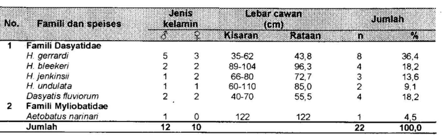 Tabel  2. Hasil  tangkapan  ikan pari dengan  rawai dasar  di Cirebon,  bulan  Juli  2003