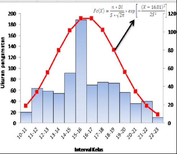 Gambar 3.Grafik  Ukuran Pengamatan dan Distribusi Ukuran Jenis Udang   Banana (Penaus merguensis)