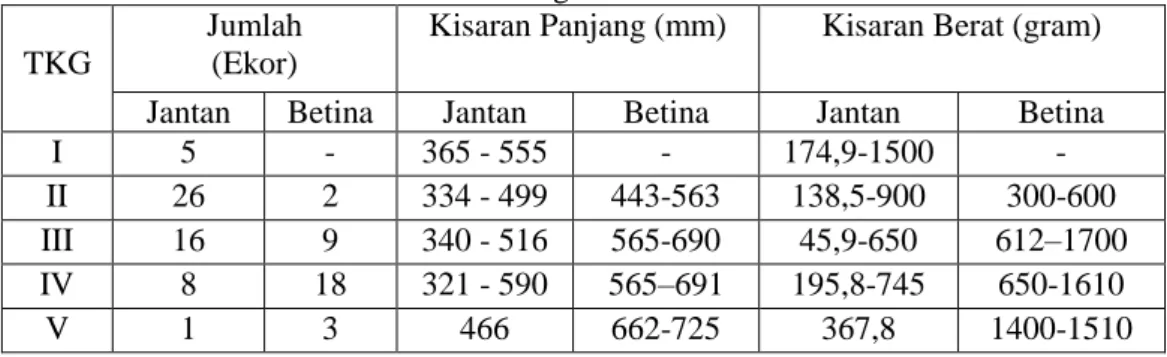 Tabel  1.  Jumlah  Ikan  Parang-parang  (C.  dorab)  pada  tiap  TKG  beserta  Kisaran  Panjang  dan  Berat Tubuh Selama Bulan Maret-Agustus 2012