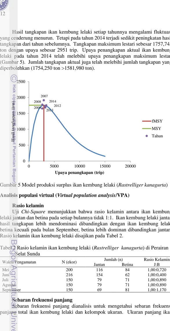 Gambar 5 Model produksi surplus ikan kembung lelaki (Rastrelliger kanagurta)  Analisis populasi virtual (Virtual population analysis/VPA) 