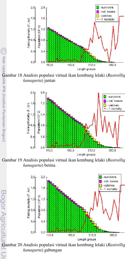 Gambar 18 Analisis populasi virtual ikan kembung lelaki (Rastrelliger  kanagurta) jantan 