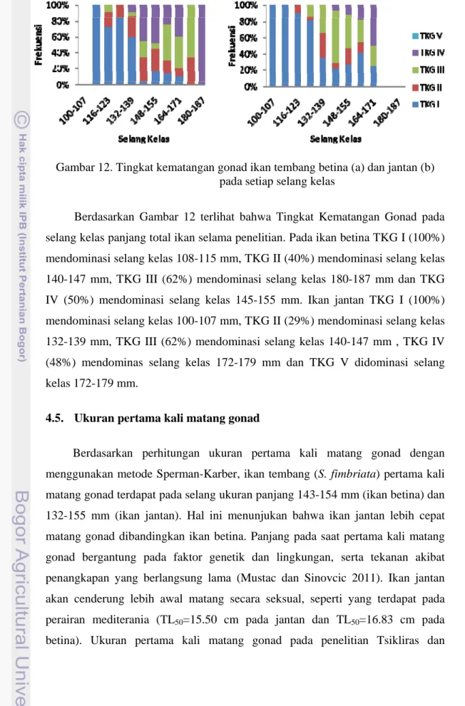 Gambar 12. Tingkat kematangan gonad ikan tembang betina (a) dan jantan (b)    pada setiap selang kelas 