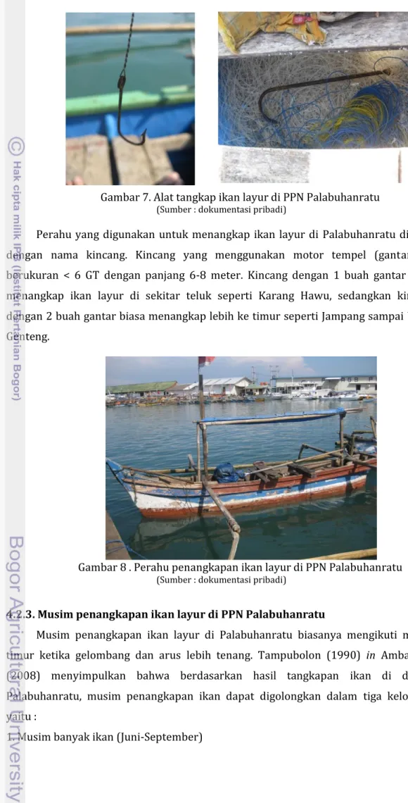 Gambar 8 . Perahu penangkapan ikan layur di PPN Palabuhanratu 