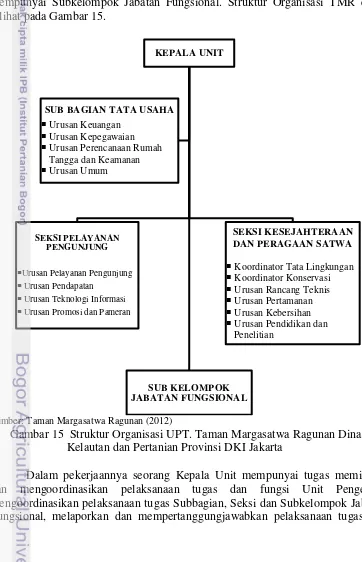 Gambar 15  Struktur Organisasi UPT. Taman Margasatwa Ragunan Dinas 