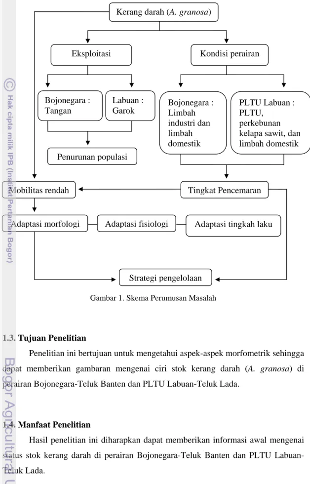 Gambar 1. Skema Perumusan Masalah 