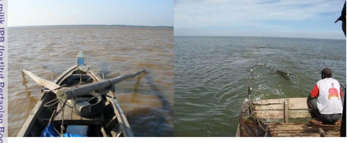Gambar 2.  Operasional alat tangkap udang mantis contoh dengan jaring dasar di  daerah intertidal (Kiri: sondong; Kanan: trawl mini) 