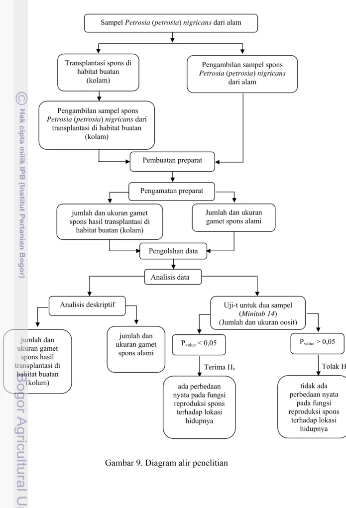 Gambar 9. Diagram alir penelitian 