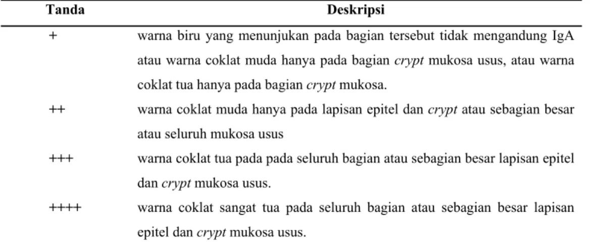 Tabel 8. Kriteria penilaian deskriptif kandungan IgA 