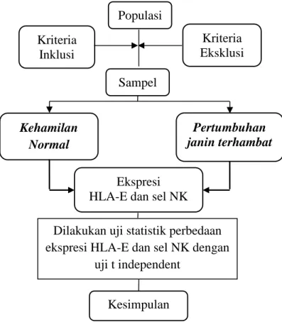 Gambar 6. Alur Penelitian Populasi 