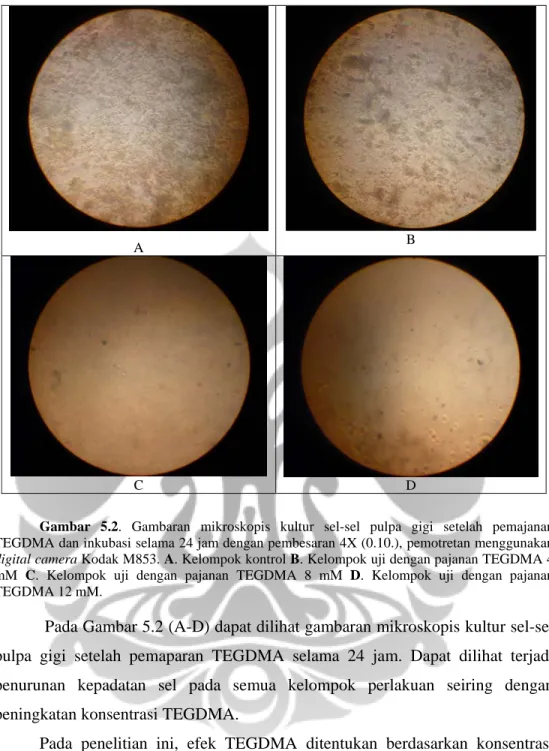 Gambar 5.2. Gambaran mikroskopis kultur sel-sel pulpa gigi setelah pemajanan  TEGDMA dan inkubasi selama 24 jam dengan pembesaran 4X (0.10.), pemotretan menggunakan  digital camera Kodak M853