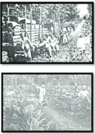Foto 2.3 Tenaga Kerja Indonesia pada Masa  Pemerintah Hindia Belanda Sumber: Pustaka Sekolah