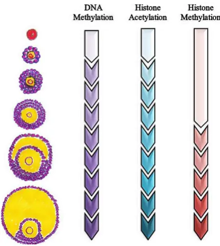 Table 1. List of epigenetic alteration in male infertility