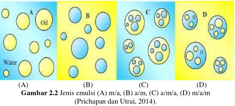 Gambar 2.2 Jenis emulsi (A) m/a, (B) a/m, (C) a/m/a, (D) m/a/m 