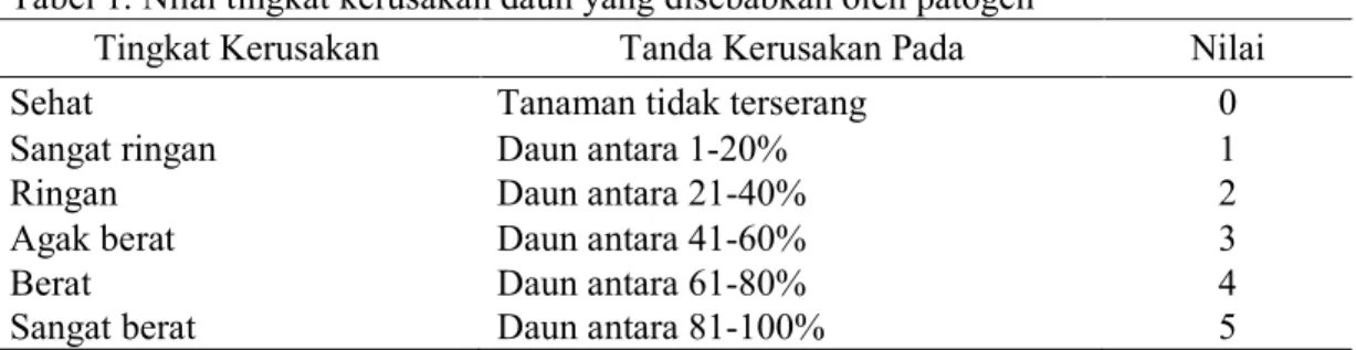 Tabel 1. Nilai tingkat kerusakan daun yang disebabkan oleh patogen 