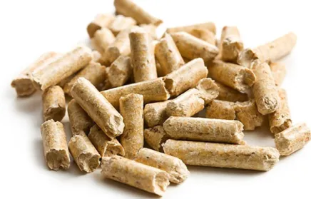 Gambar 2. Wood pellets 
