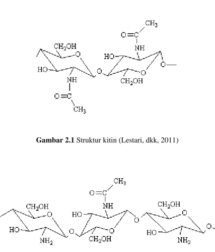 Gambar 2.1 Struktur kitin (Lestari, dkk, 2011) 