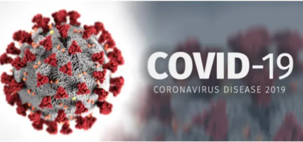Gambar Virus Covid-19 (sumber kementrian kesehatan) 