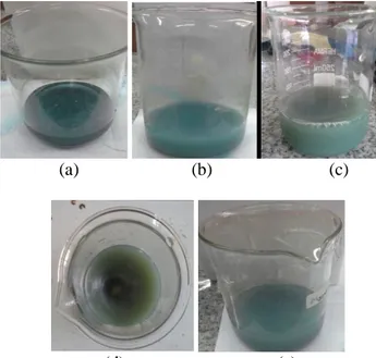 Gambar 7 (a) Sampel limbah cair penyamakan kulit; 