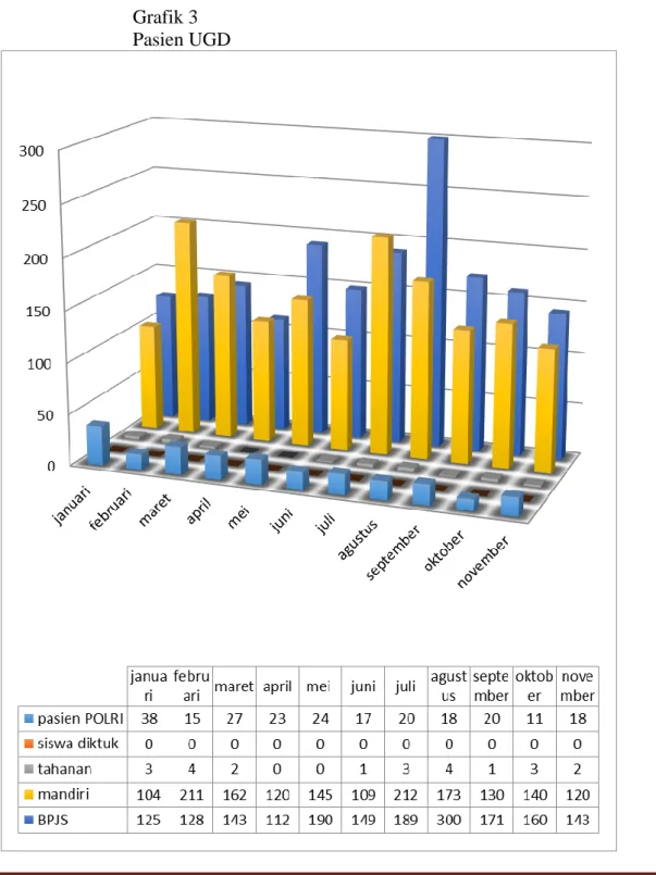 Grafik 3  Pasien UGD 