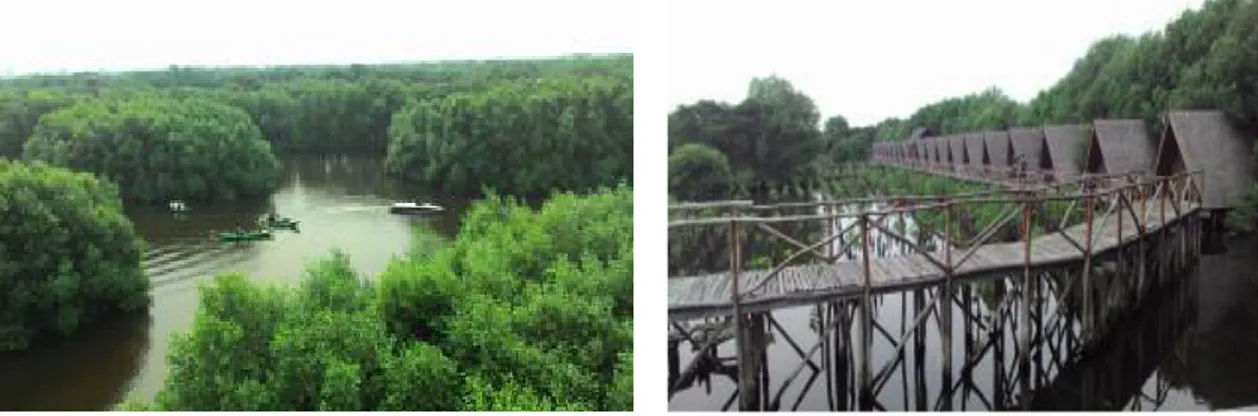 Gambar 2. Pemandangan hutan mangrove  8.  Perahu Air 
