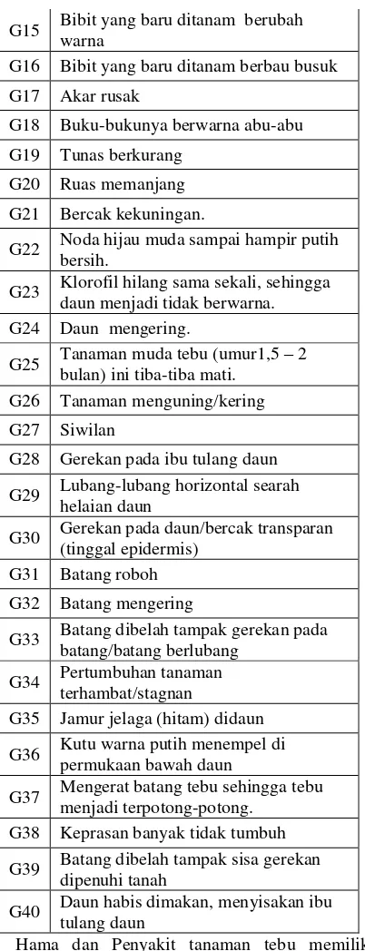 Tabel 3 Hama Penyakit dan Gejalanya 