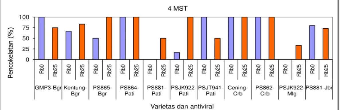 Gambar  3.  Tingkat  pencokelatan  meristem  dari  11  varietas  tebu  setelah  perlakuan  kultur  meristem  dan  kemoterapi dengan Ribavirin 0 μg (Rb0) atau Ribavirin 25 μg/l (Rb25) 