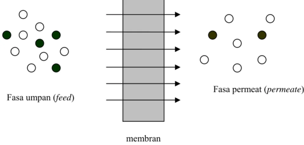 Gambar 2.1.1. Proses pemisahan pada membran  [3]