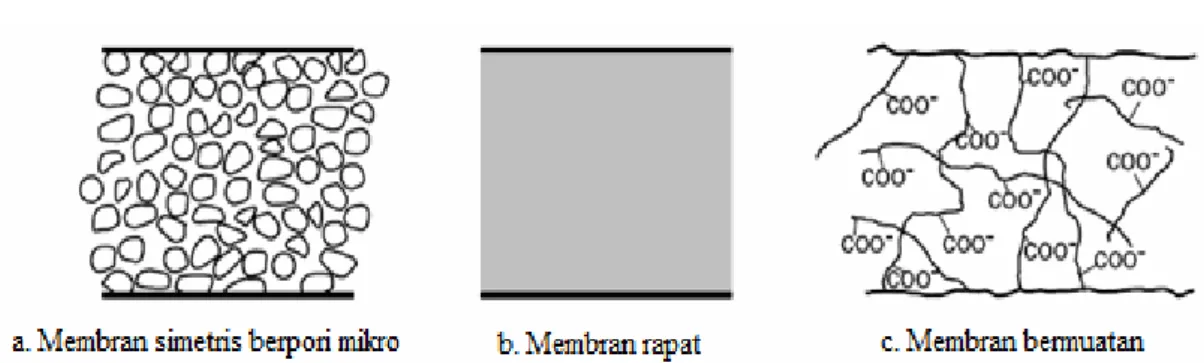 Gambar 2.1.2. Klasifikasi membran simetris [4]
